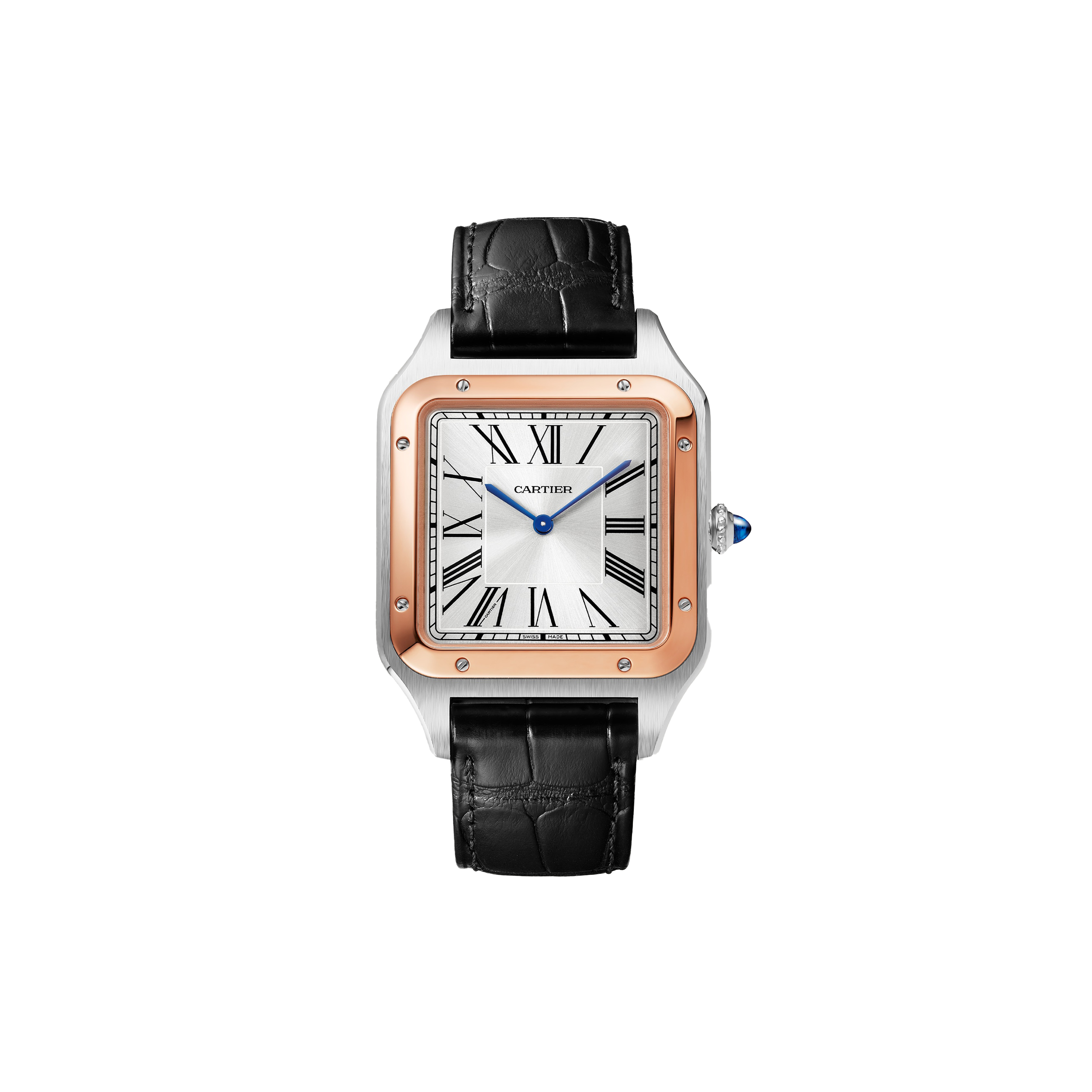 CARTIER SANTOS-DUMONT WATCH W2SA0017 CARTIER SANTOS-DUMONT WATCH W2SA0017
